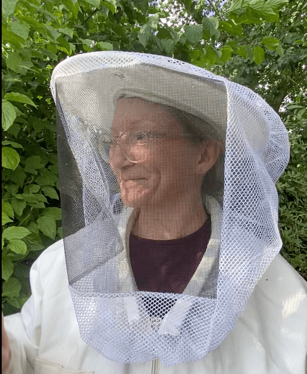 Profilbild Honig Dangast